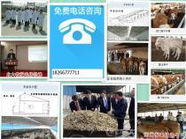 【來賓市小牛犢價格2014年牛價格走勢】3-12月齡牛羊,價格,報價,種類、品牌,廠家,供應商,馬鞍山百分物業管理 - 產品庫 - 阿土伯交易網手機版