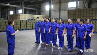 西王食品公司物管部 物流綜合部扎實做好旺季產品發貨工作